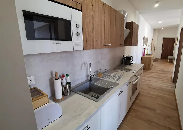 Apartment Stara Trznica *